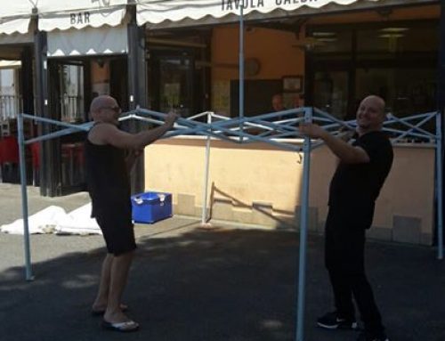 Men At work for The mexican party ……stay …